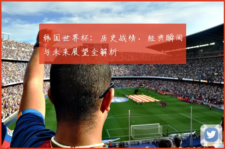 韩国世界杯：历史战绩、经典瞬间与未来展望全解析