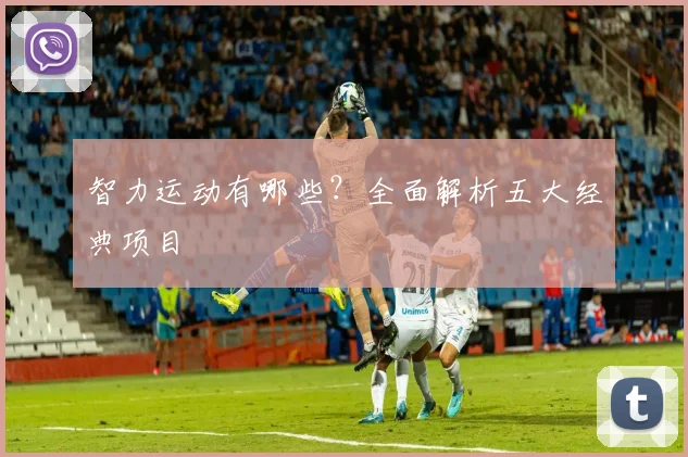 智力运动有哪些？全面解析五大经典项目