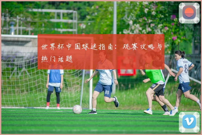 世界杯中国球迷指南：观赛攻略与热门话题